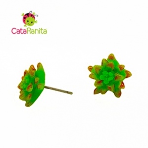 aretes suculentas 3